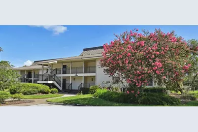 29129 Bay Hollow Drive #3212, Wesley Chapel, FL 33543 - Photo 1