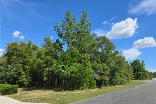 Tbd Marion Oaks Dr, Ocala, FL 34473 - Photo 1