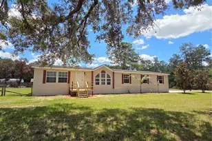 29341 Saddle Oaks Ln, Brooksville, FL 34602 - Photo 1