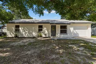 3725 Ambermist Dr, Tampa, FL 33619 - Photo 1