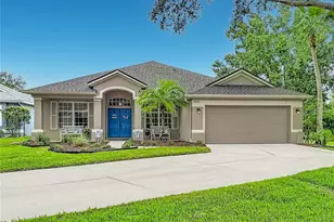 19101 Golden Cacoon Pl, Lutz, FL 33558 - Photo 1