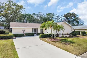 3132 Brunswick Cir, Palm Harbor, FL 34684 - Photo 1