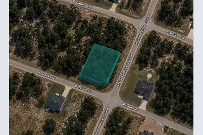 0 Malauka Drive, Ocklawaha, FL 32179 - Photo 1