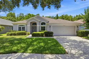 19720 Morden Blush Dr, Lutz, FL 33558 - Photo 1