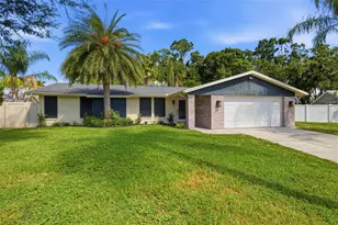 12606 Wood Ibis Way, Tampa, FL 33624 - Photo 1