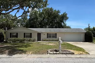 827 Strawberry Ln, Brandon, FL 33511 - Photo 1