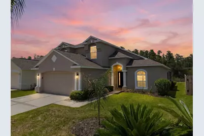 30609 Tremont Drive, Wesley Chapel, FL 33543 - Photo 1