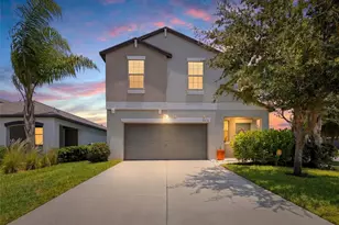 10232 Cool Waterlily Ave, Riverview, FL 33578 - Photo 1