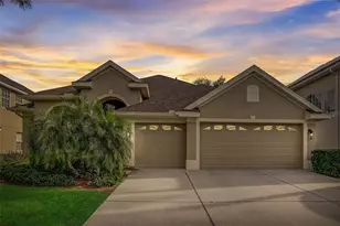 23338 Dinhurst Ct, Land O Lakes, FL 34639 - Photo 1
