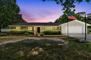 19706 Angel Ln, Odessa, FL 33556 - Photo 1