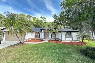 26035 Loblolly Ln, Land O Lakes, FL 34639 - Photo 1