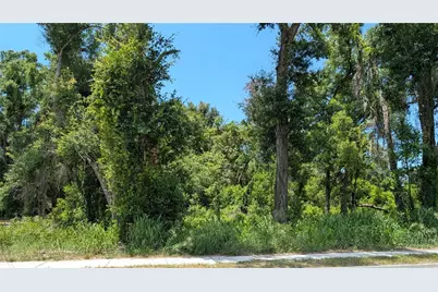 9505 Joe Ebert Road, Seffner, FL 33584 - Photo 1