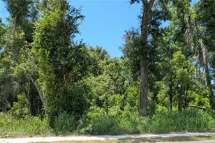9505 Joe Ebert Rd, Seffner, FL 33584 - Photo 1