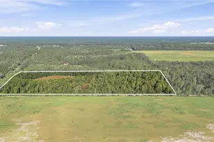 0 E Hwy 318, Citra, FL 32113 - Photo 1