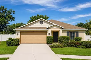 10539 Laguna Plains Dr, Riverview, FL 33578 - Photo 1