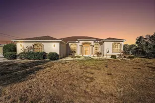 16031 Donney Moor Ln, Spring Hill, FL 34610 - Photo 1