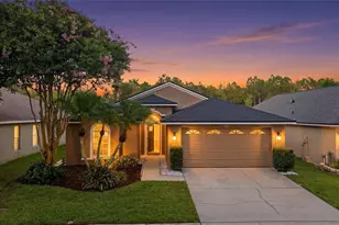 4510 New Dawn Ct, Lutz, FL 33558 - Photo 1