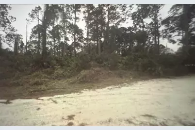350 Tern Avenue, Sebring, FL 33870 - Photo 1
