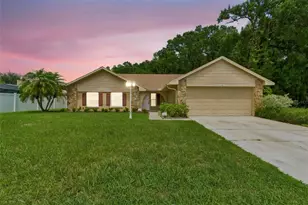 15109 Springview St, Tampa, FL 33624 - Photo 1