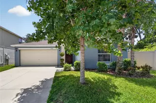 10304 Strawberry Tetra Dr, Riverview, FL 33578 - Photo 1