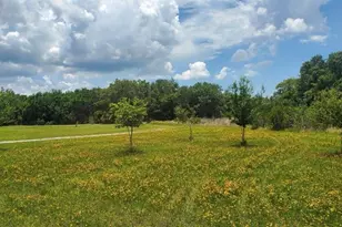 15908 West Lake Dr, Wimauma, FL 33598 - Photo 1