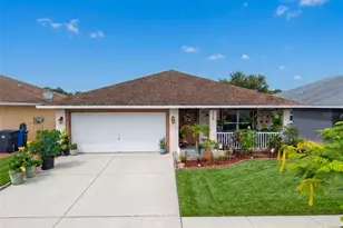 1128 Shared Passion St, Ruskin, FL 33570 - Photo 1