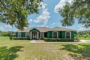 4814 Cypress Serenity Dr, Plant City, FL 33565 - Photo 1