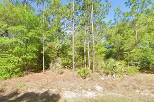 8621 N Blackthorn Ave, Crystal River, FL 34428 - Photo 1