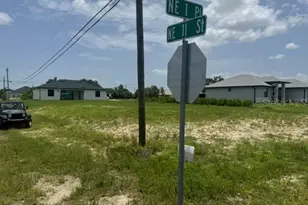 1029 NE 1st Pl, Cape Coral, FL 33909 - Photo 1