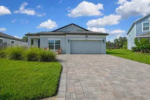 30801 Parrot Reef Ct, Wesley Chapel, FL 33545 - Photo 1