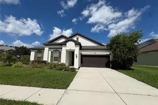 4645 Butler National Dr, Wesley Chapel, FL 33543 - Photo 1