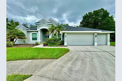 30518 Colehaven Court, Wesley Chapel, FL 33543 - Photo 1