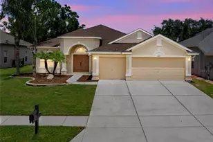 23315 Dinhurst Ct, Land O Lakes, FL 34639 - Photo 1