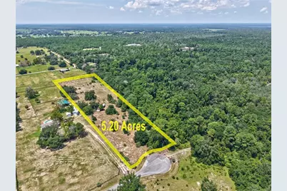 36931 Leslye Lane, Eustis, FL 32736 - Photo 1
