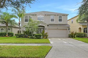 11447 Dutch Iris Dr, Riverview, FL 33578 - Photo 1