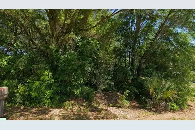 19801 Flamingo Drive, Dunnellon, FL 34431 - Photo 1
