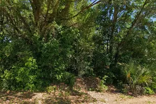 19801 Flamingo Dr, Dunnellon, FL 34431 - Photo 1