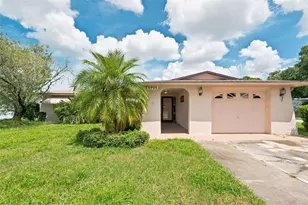 5905 Lanate Ave, New Port Richey, FL 34652 - Photo 1
