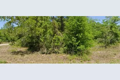 21943 Rainbow Lakes Boulevard, Dunnellon, FL 34431 - Photo 1
