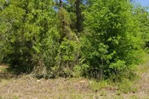 21943 Rainbow Lakes Blvd, Dunnellon, FL 34431 - Photo 1