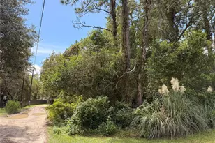 5710 S Leopard Point, Homosassa, FL 34446 - Photo 1