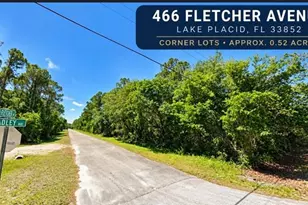 466 Fletcher Ave, Lake Placid, FL 33852 - Photo 1