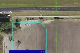 Sr 52, San Antonio, FL 33576 - Photo 1