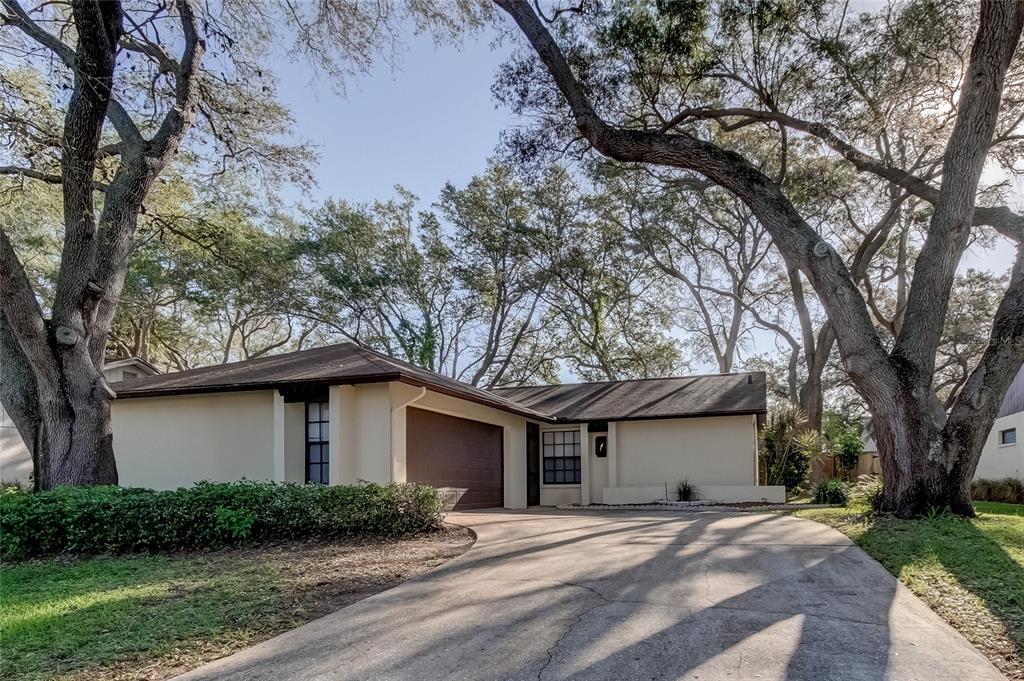 260 Arbor Glen Dr, Palm Harbor, FL 34683 MLS U8194619 Coldwell Banker