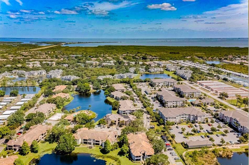 10263 Gandy Blvd N 704, Saint Petersburg, FL 33702 MLS U8205089