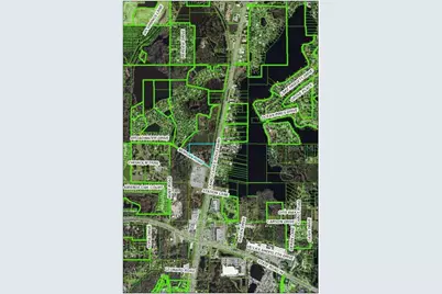 21201 Morgan Road, Land O Lakes, FL 34638 - Photo 1