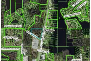 21201 Morgan Rd, Land O Lakes, FL 34638 - Photo 1