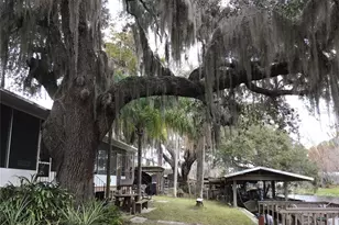 1659 Bass Ave, Seville, FL 32190 - Photo 1