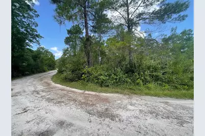 Hilda Avenue, Paisley, FL 32767 - Photo 1