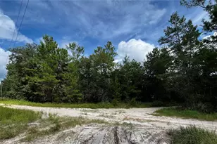 100 Sharon Dr, Satsuma, FL 32189 - Photo 1